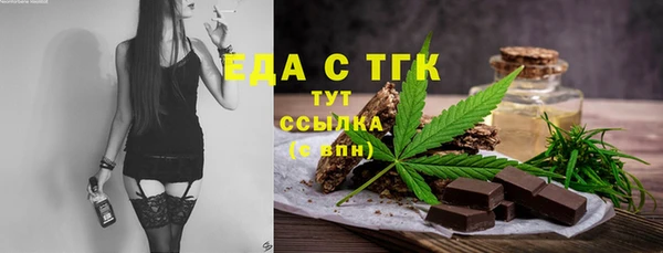 индика Абаза