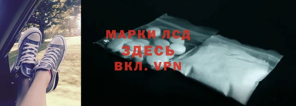 индика Абаза