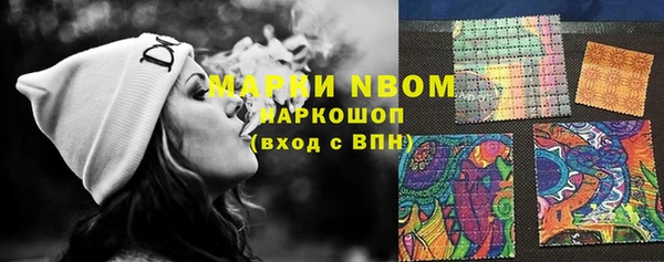 индика Абаза