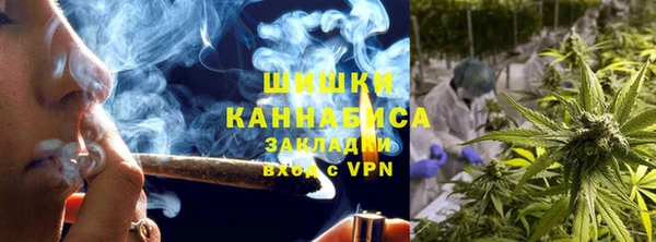 индика Абаза