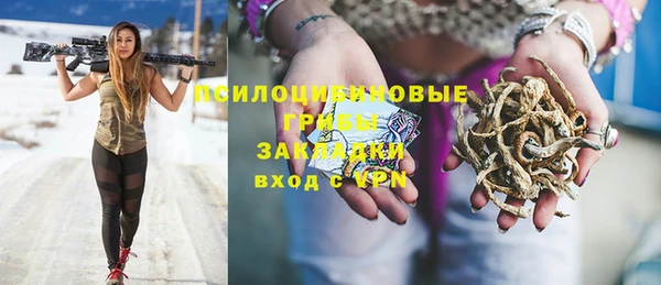 мдпв Покровск