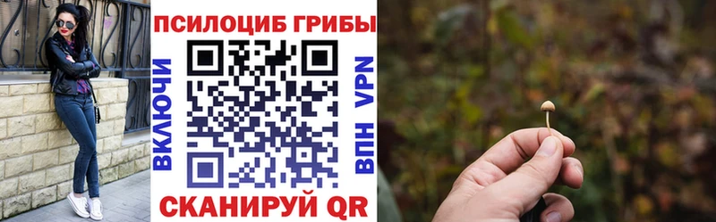 гидра сайт  Сальск  Псилоцибиновые грибы прущие грибы 