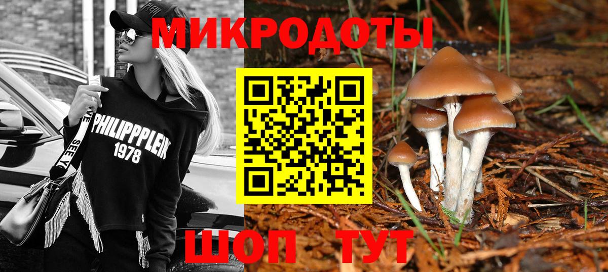Псилоцибиновые грибы мицелий Сальск
