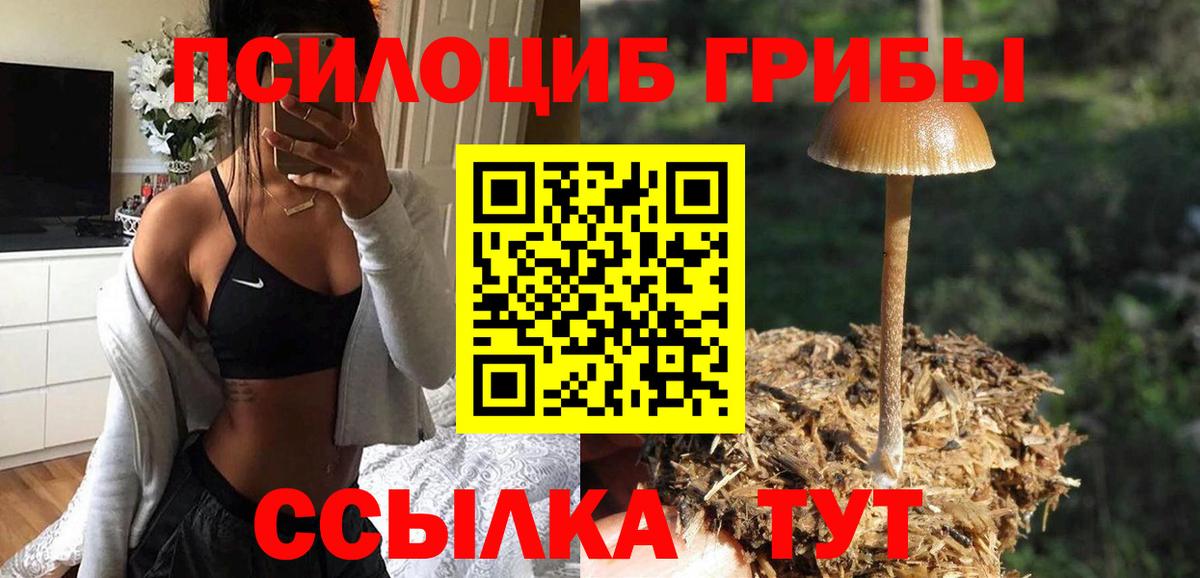 Псилоцибиновые грибы ЛСД  Галлюциногенные грибы ЛСД  Сальск  Вход с VPN 